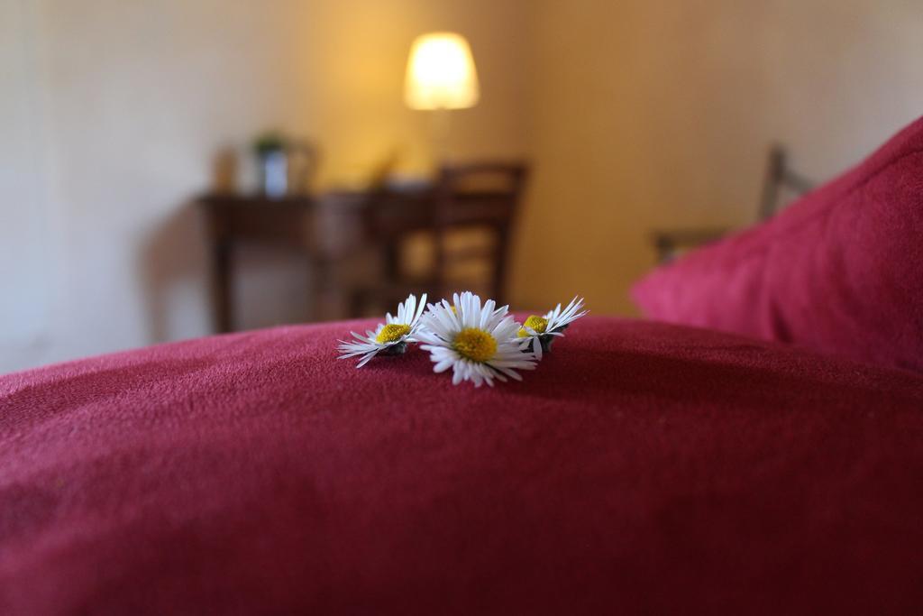 Agriturismo Casavecchia ฟิลยีเน วัลดาร์โน ภายนอก รูปภาพ